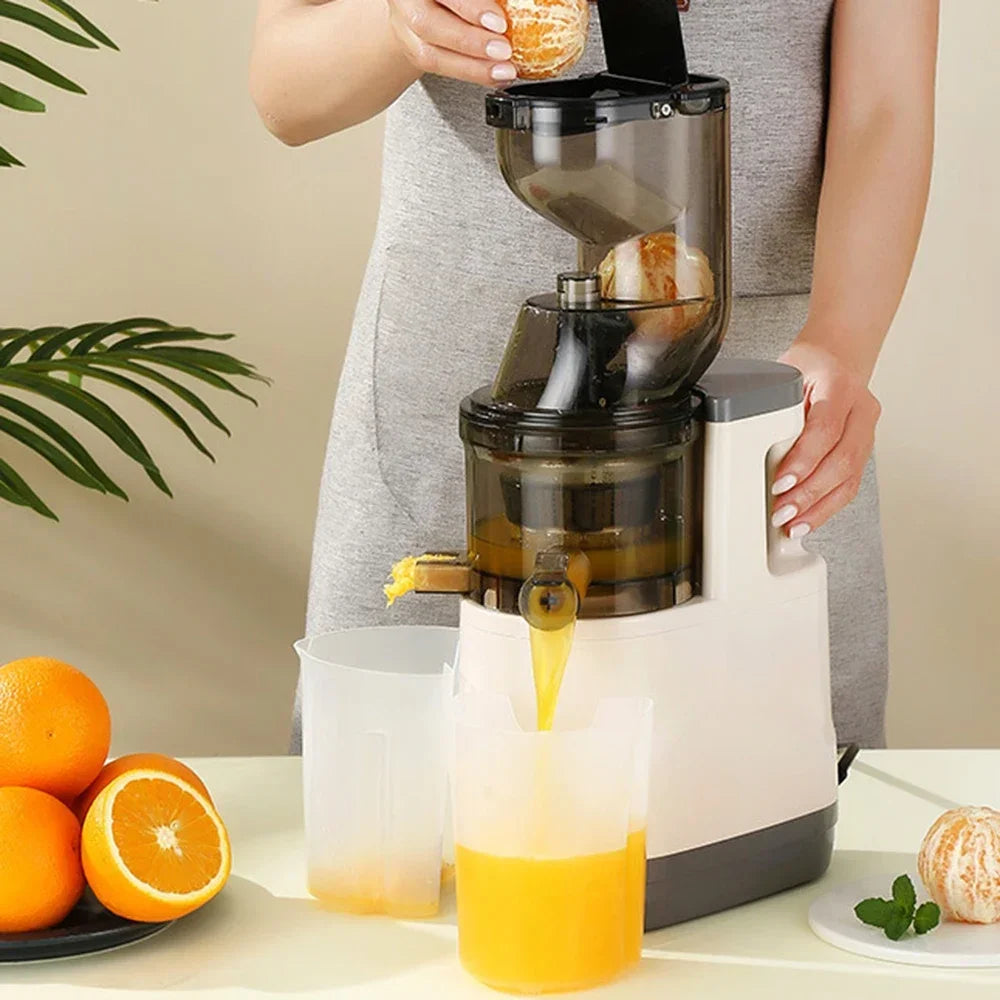 SipNPress Cold Press Juicer