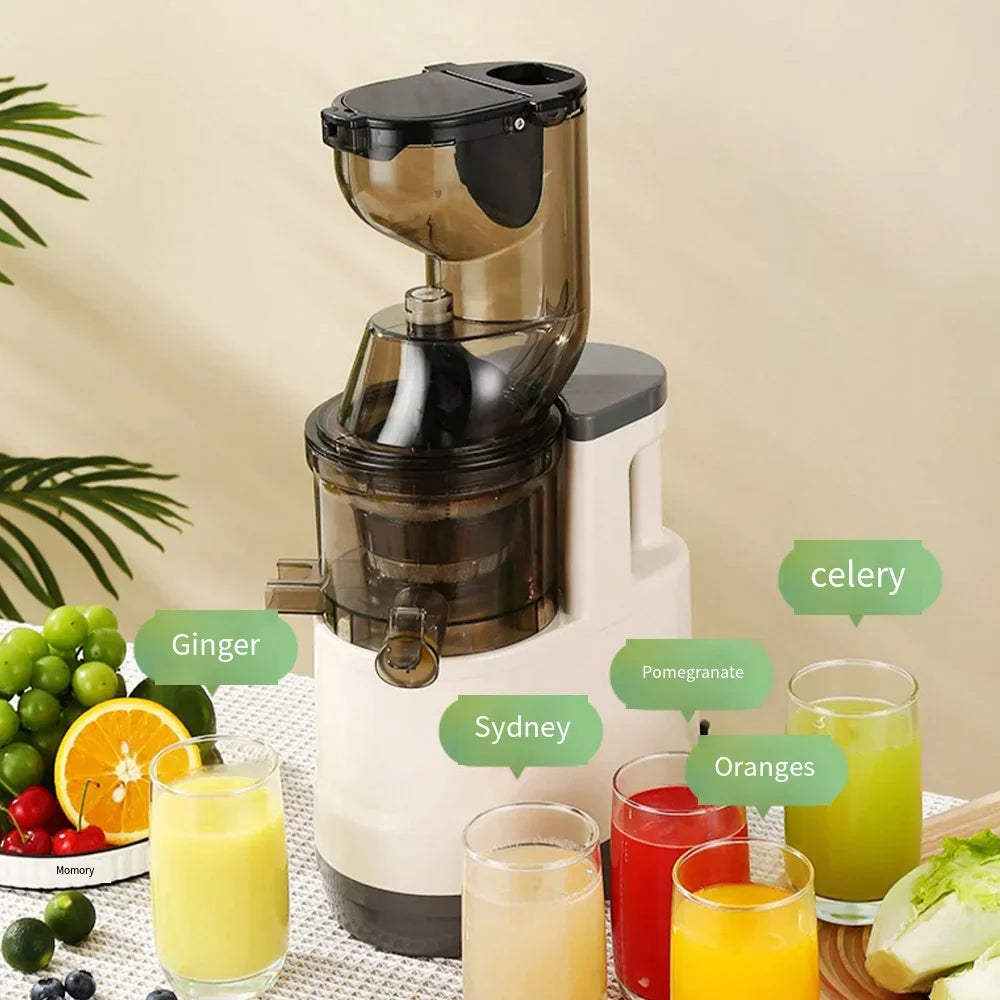 SipNPress Cold Press Juicer