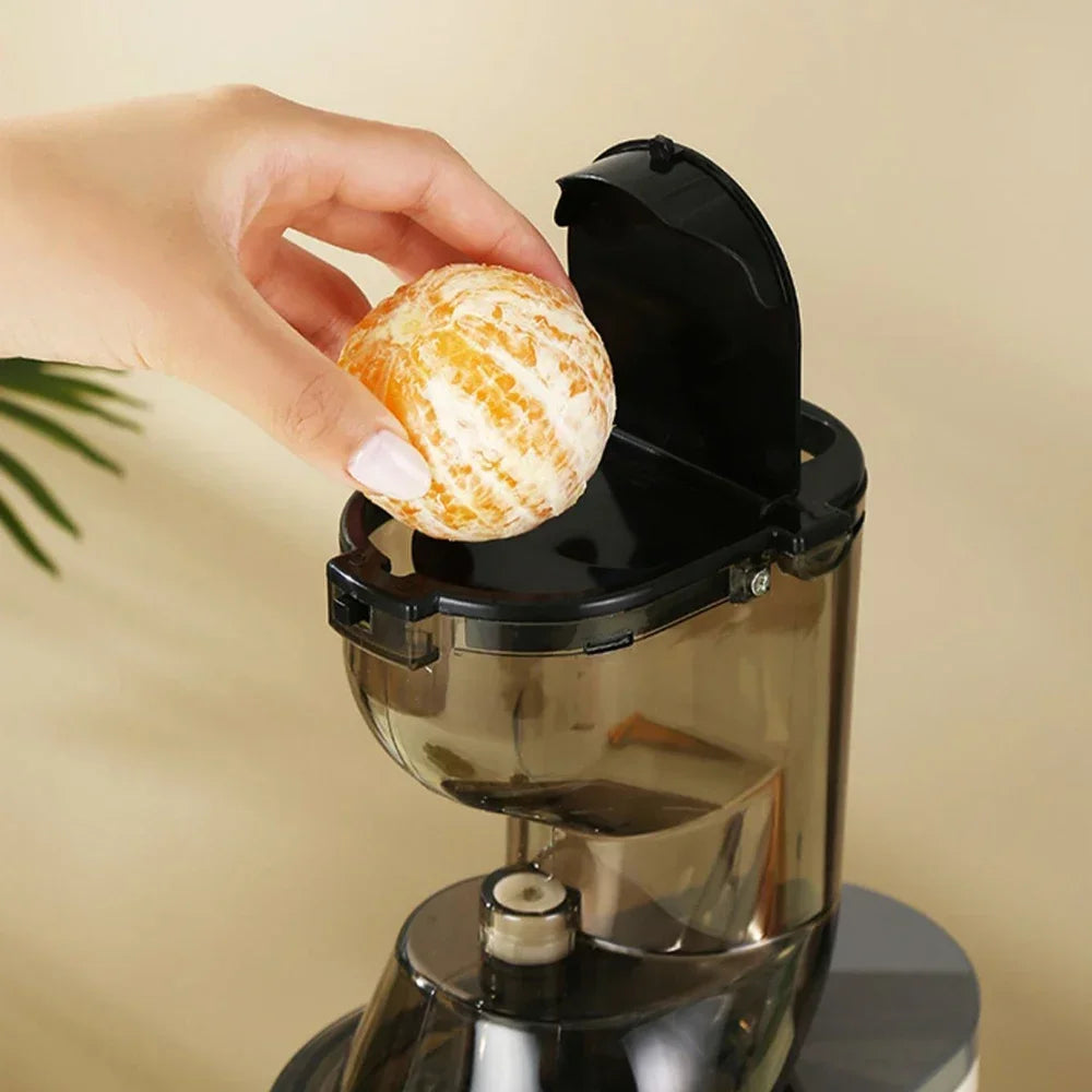 SipNPress Cold Press Juicer