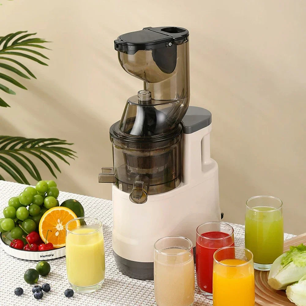 SipNPress Cold Press Juicer