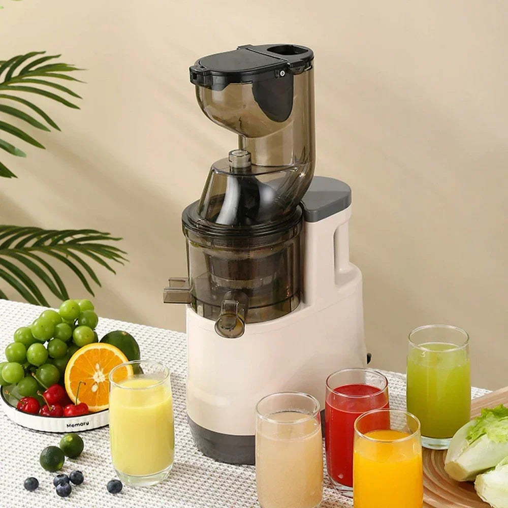SipNPress Cold Press Juicer