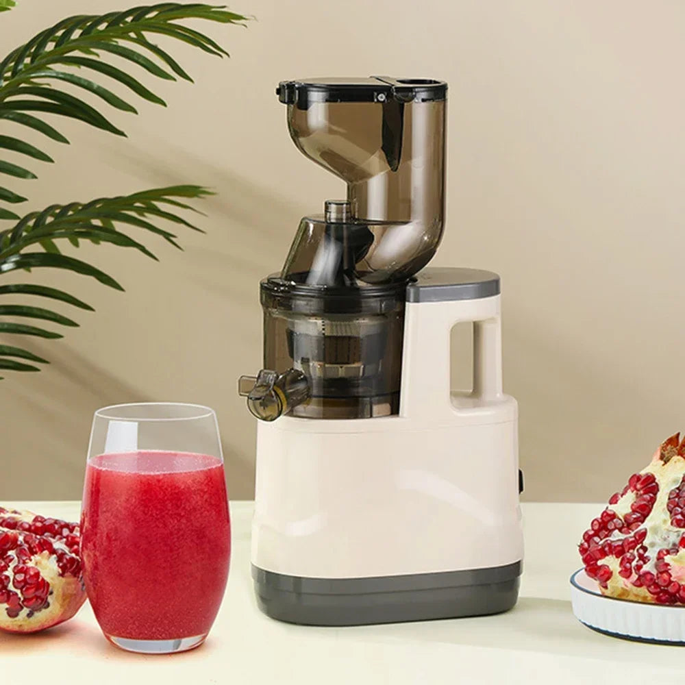 SipNPress Cold Press Juicer