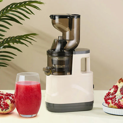 SipNPress Cold Press Juicer